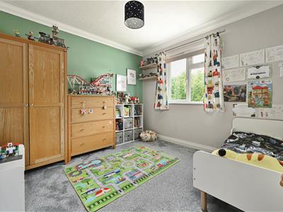 Picture 20